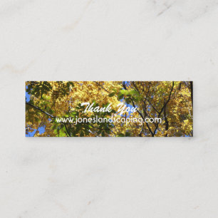 Cartes de visite de sylviculture