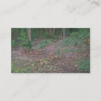 Cartes de visite de vert de nature d'arbres