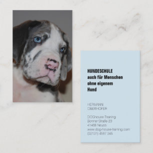 Cartes de visite d'école canine