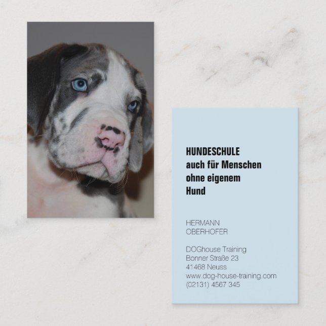 Cartes de visite d'école canine (Devant / Derrière)