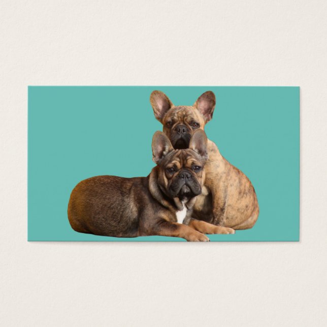 Cartes de visite des bulldogs français (Devant)