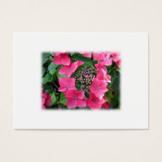 Cartes De Visite Des hydrangées. Fleurs roses. BLANCHE.