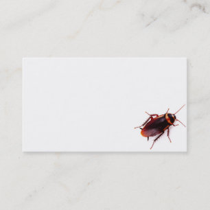 Cartes de visite d'exterminateur (cancrelat)