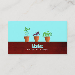 Cartes de visite d'herbe - couleur variable