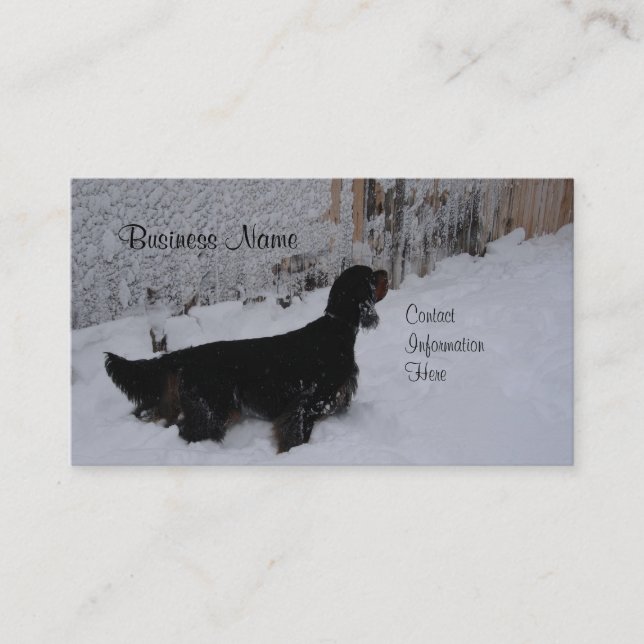 Cartes de visite d'hiver de poseur de Gordon (Devant)
