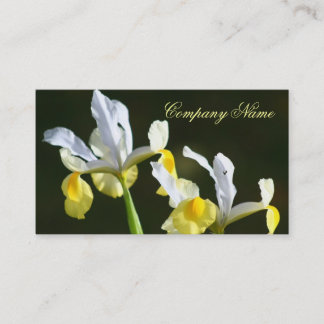 Cartes de visite d'iris