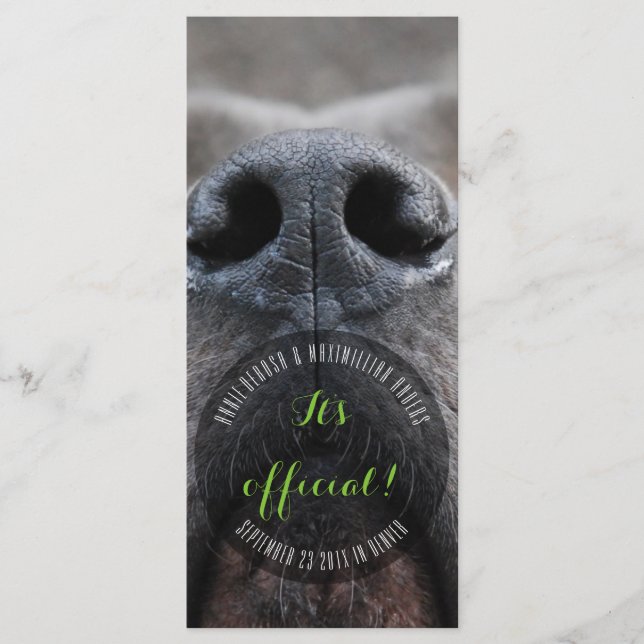 Cartes de visite Dognose (Devant)