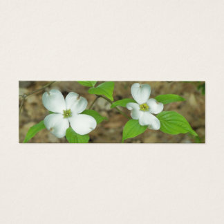 Cartes De Visite Dogwood