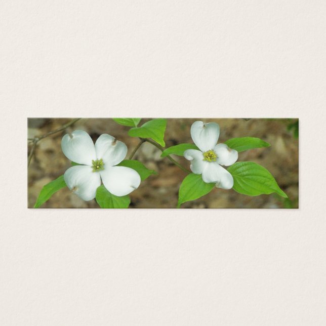 Cartes De Visite Dogwood (Devant)