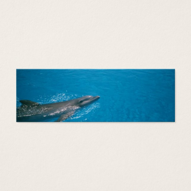 CARTES DE VISITE DOLLY FIN (Devant)