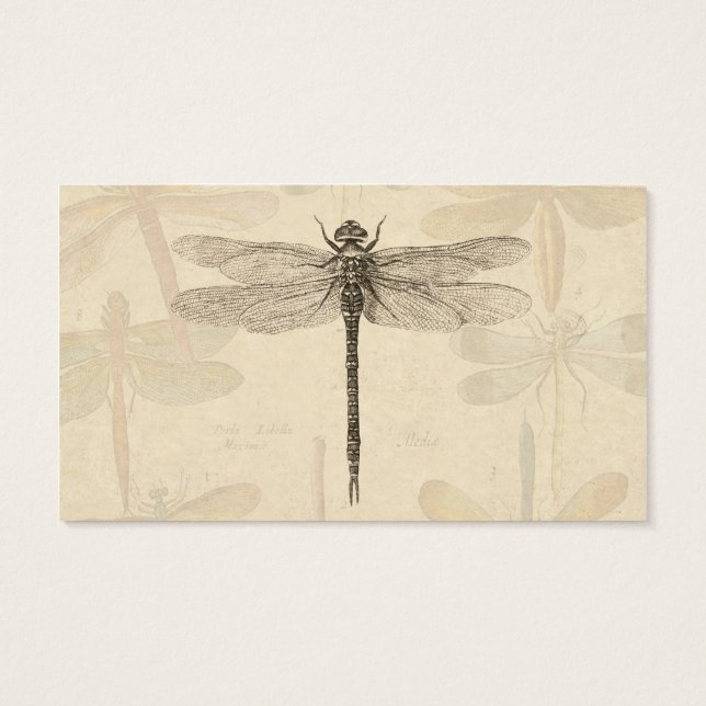 Cartes De Visite Dragonfly Vintage dessin classique (Dos)