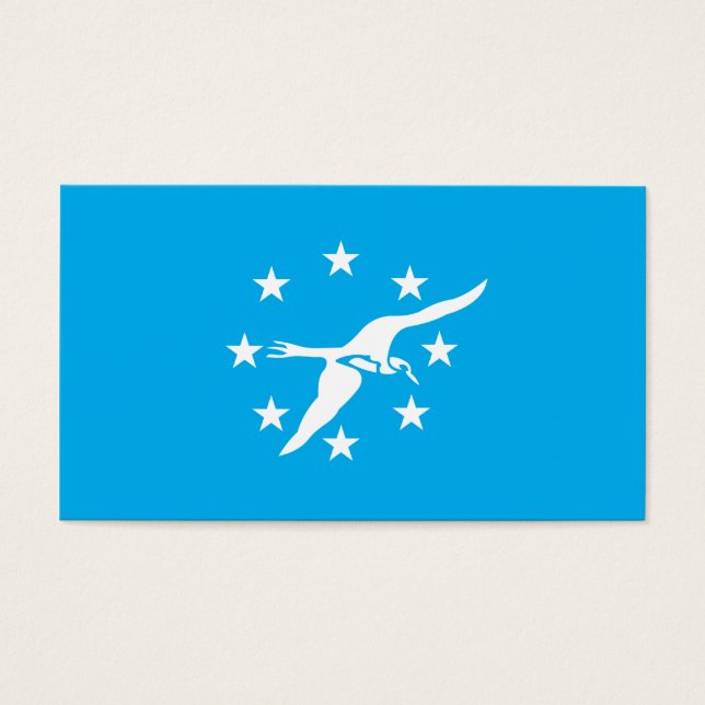 Cartes De Visite Drapeau de la ville de Corpus Christi (Devant)