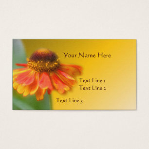 Cartes De Visite Dreamy Zinnia Flower Nature