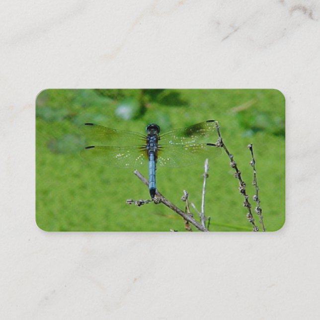 Cartes de visite du dragon (Devant)