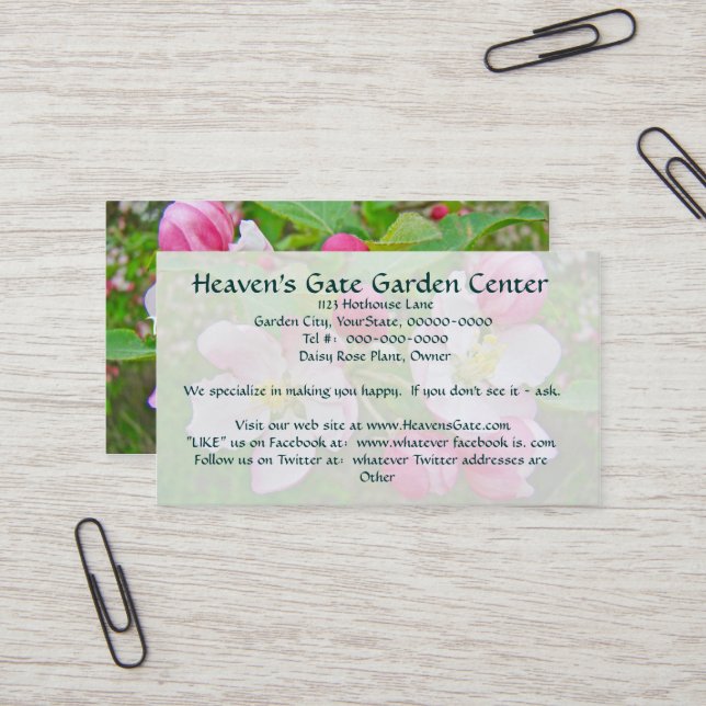 Cartes de visite du temps de floraison Apple (Devant/Arrière en situation)