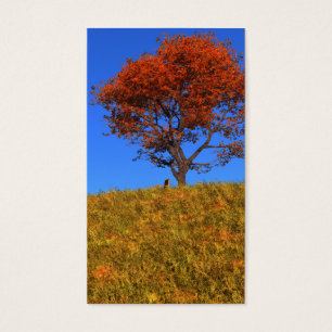 Cartes De Visite Effacer les Signets de la journée d'automne