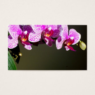 Cartes De Visite Élégante orchidée rose fleurie tropicale