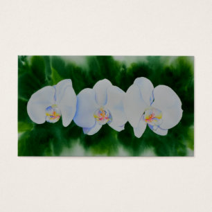 Cartes De Visite Elégante peinture d'orchidée tropicale blanche
