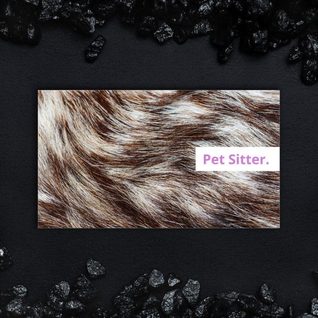 Cartes de visite élégantes pour garde d'animaux Ch (Bold Lilac lavender purple Pet Sitter business card, dog walking professional grooming animal care.)