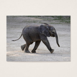 Cartes De Visite Eléphant bébé doux Kibali