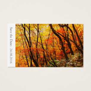 Cartes De Visite Enregistrer la date Automne / Mariage de automne 1