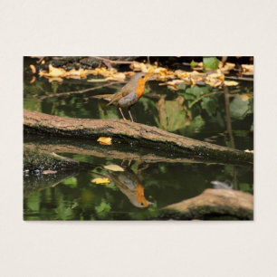 Cartes De Visite Erithacus rubecula