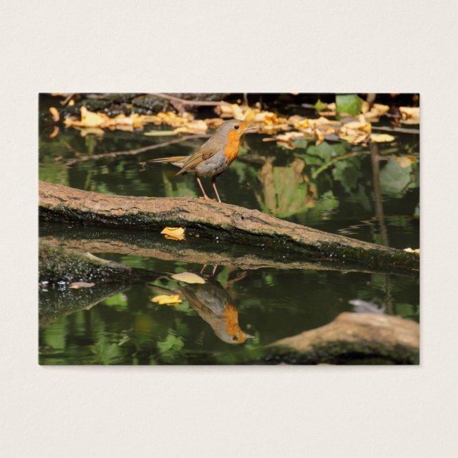 Cartes De Visite Erithacus rubecula (Devant)