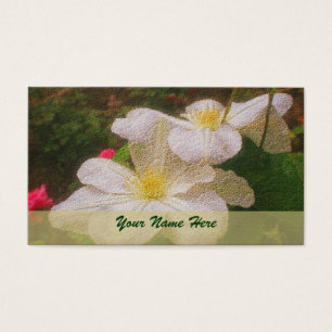 Cartes De Visite Espèce de White Clematis