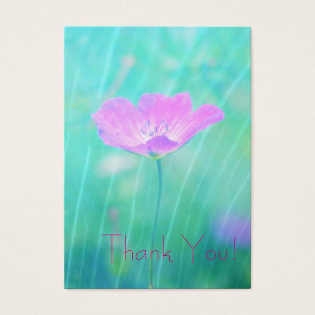 Cartes De Visite été sans fin (Devant)