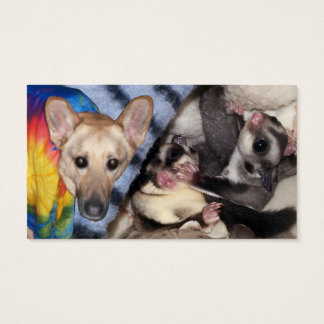 Cartes De Visite Étiquette, berger allemand, planeur de sucre Xmas