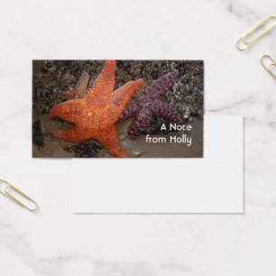 Cartes De Visite Étoiles de mer/étoiles de mer, plage de canon OU,