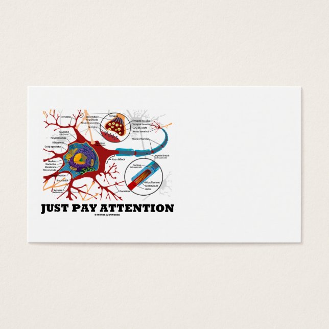 Cartes De Visite Faites attention (Neuron / Synapse) (Devant)