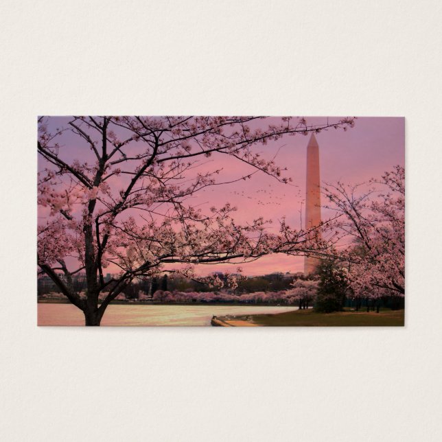 Cartes De Visite Festival Cherry Blossom du Monument de Washington (Devant)