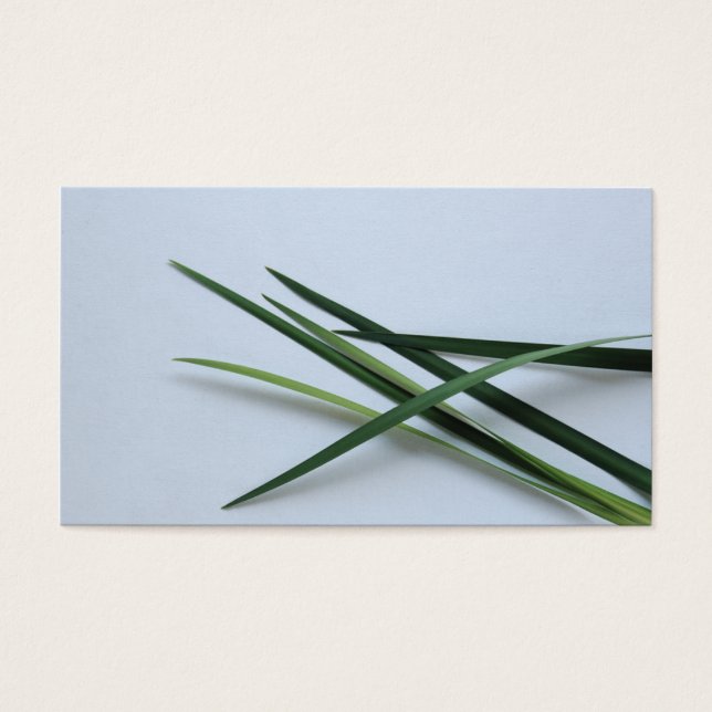Cartes De Visite feuillage vert (Devant)