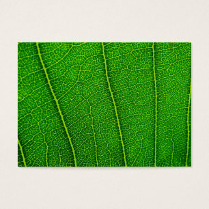 Cartes De Visite Feuille