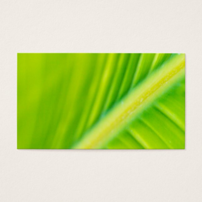 Cartes De Visite feuille de bananier vert (Devant)