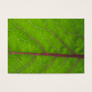 Cartes De Visite Feuille Kohlrabi ~ ATC