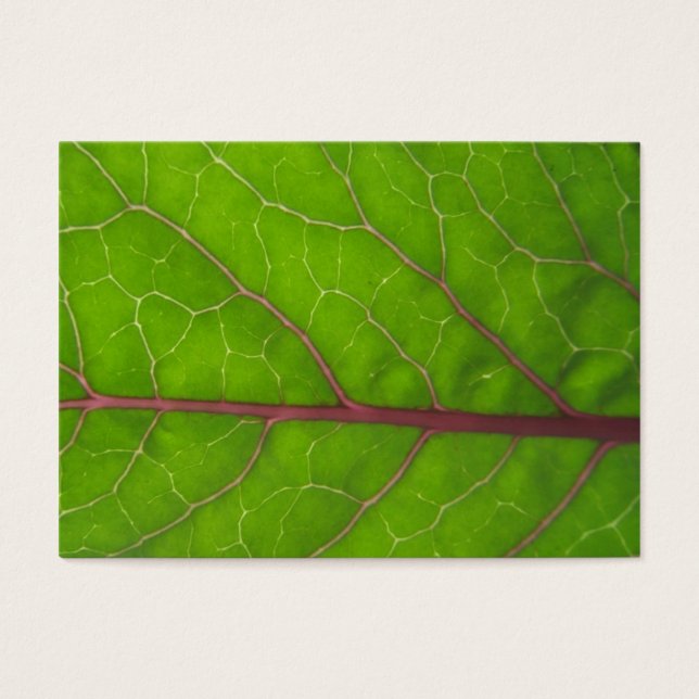 Cartes De Visite Feuille Kohlrabi ~ ATC (Devant)