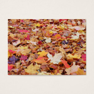 Cartes De Visite Feuille tombé en automne
