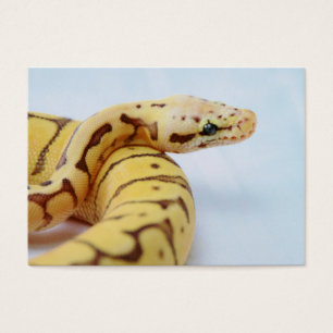 Cartes De Visite Fin jaune de python de boule