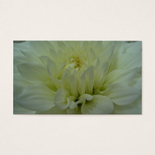 Cartes De Visite Fleur Dahlia Jaune
