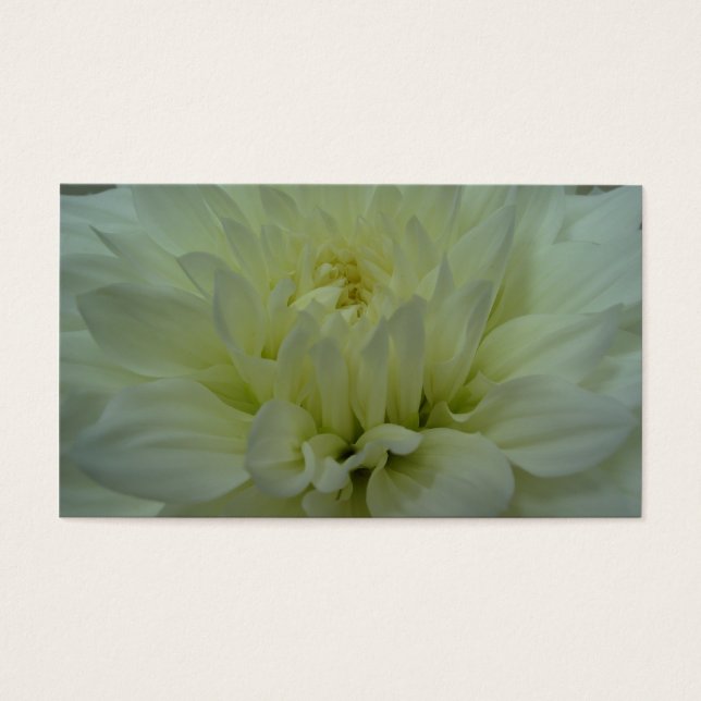 Cartes De Visite Fleur Dahlia Jaune (Devant)