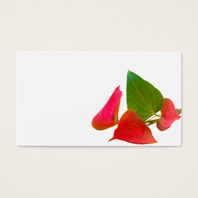 Cartes De Visite Fleur d'anthurium (Devant)