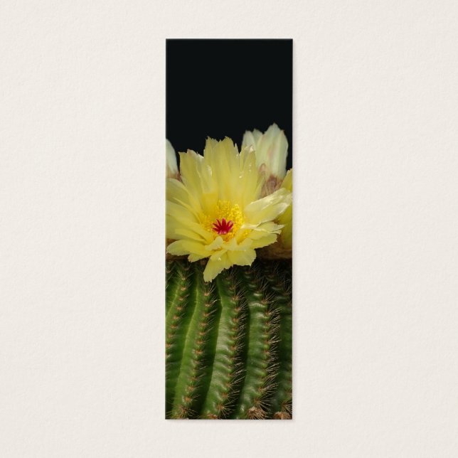 Cartes De Visite Fleur de cactus jaunes (Devant)