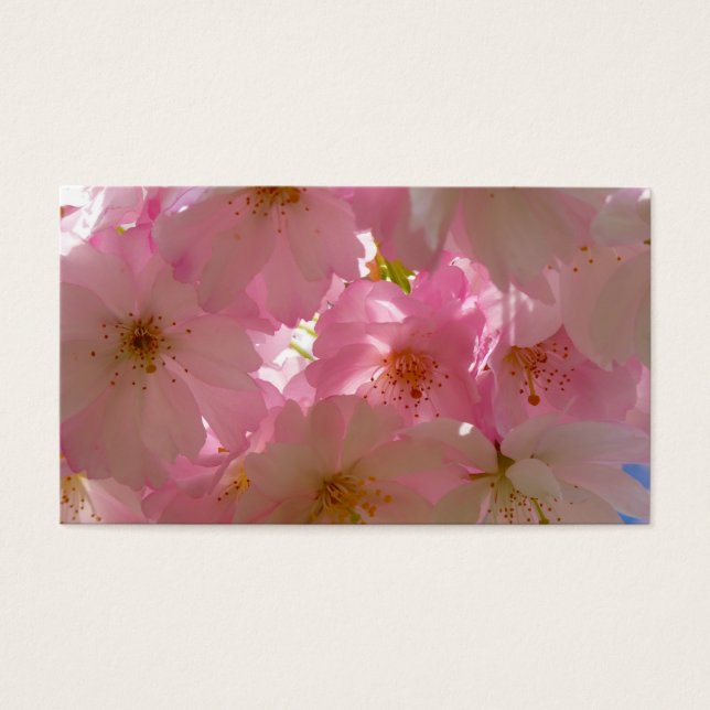 Cartes De Visite Fleur de cerisier japonaise (Devant)