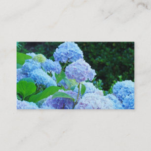 Cartes de visite Fleur d'hortensia bleu Floral