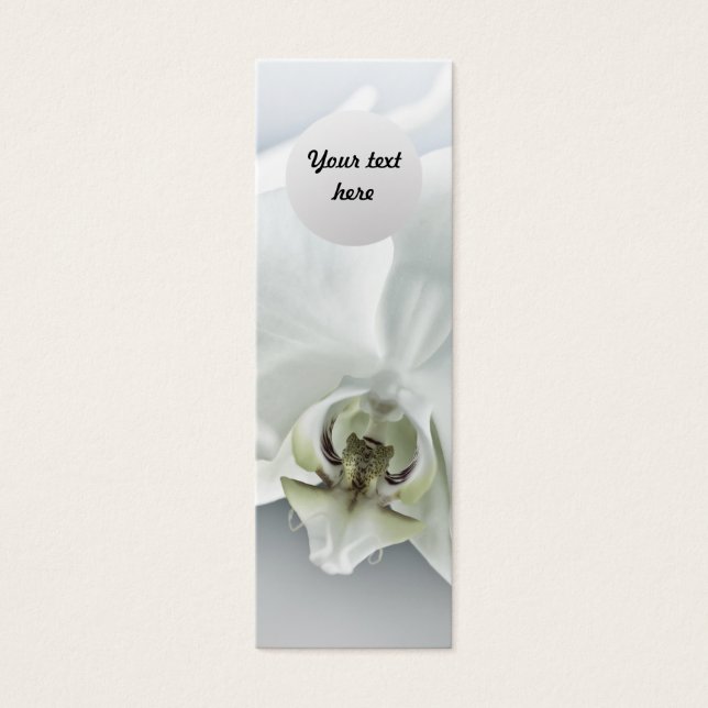 Cartes De Visite Fleur d'orchidée blanche (Devant)
