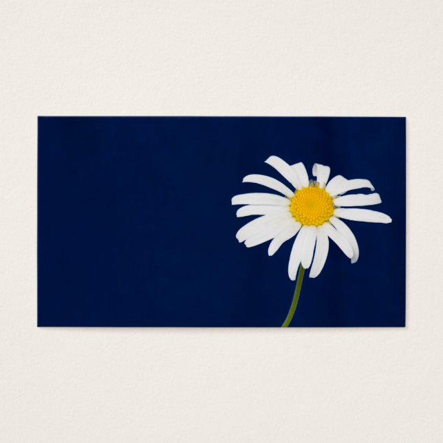 Cartes De Visite Fleur marguerite (Devant)