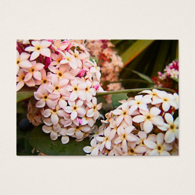 Cartes De Visite Fleurs (Devant)