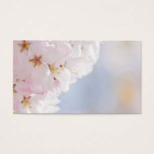 Cartes De Visite Fleurs de cerisier de Milou